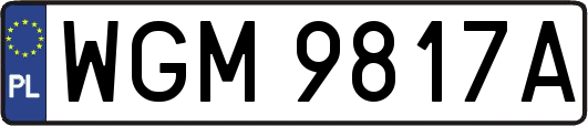WGM9817A