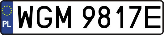 WGM9817E