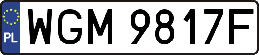 WGM9817F