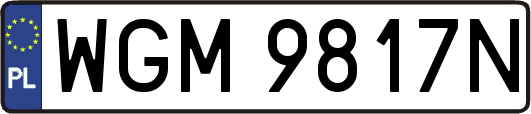 WGM9817N