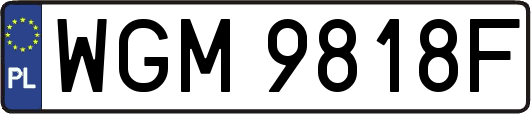 WGM9818F