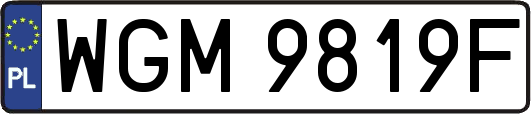 WGM9819F
