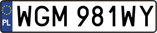 WGM981WY