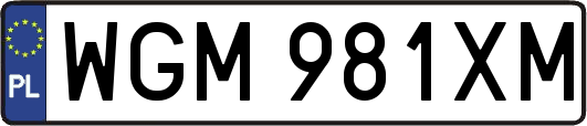 WGM981XM