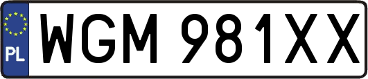 WGM981XX