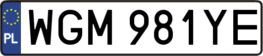 WGM981YE