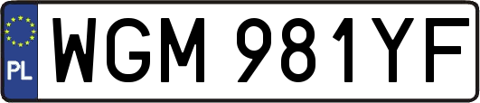 WGM981YF