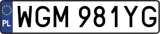 WGM981YG