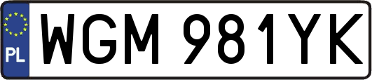 WGM981YK