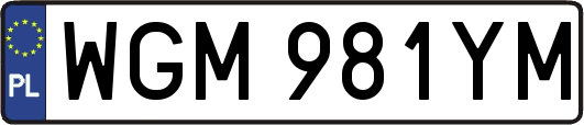 WGM981YM