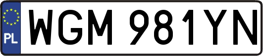 WGM981YN