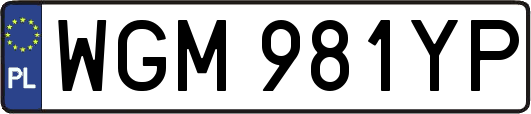 WGM981YP
