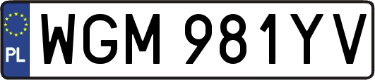 WGM981YV