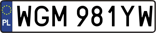 WGM981YW