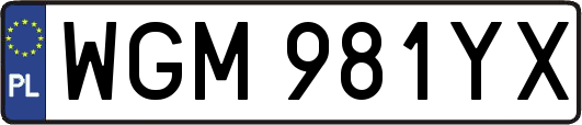 WGM981YX