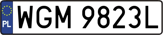 WGM9823L