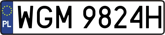 WGM9824H