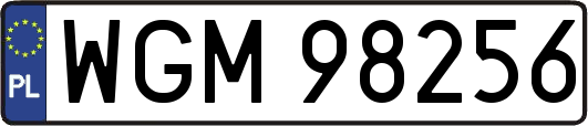 WGM98256