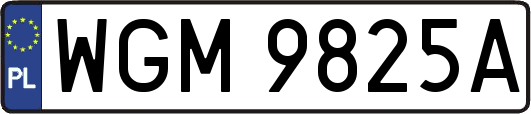 WGM9825A
