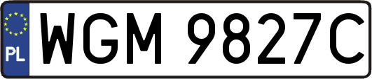 WGM9827C
