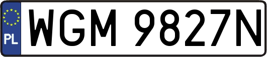 WGM9827N