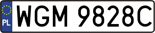 WGM9828C