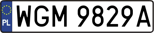 WGM9829A