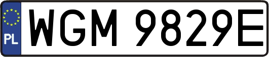 WGM9829E