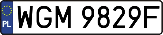 WGM9829F