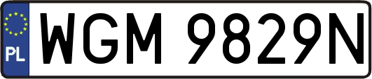 WGM9829N