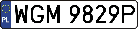 WGM9829P