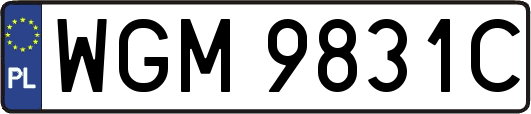 WGM9831C