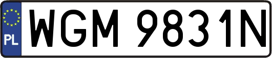 WGM9831N