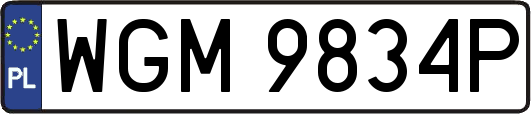WGM9834P