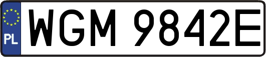WGM9842E