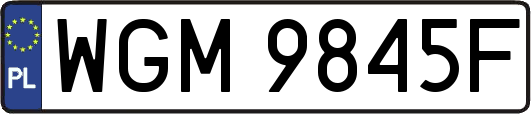 WGM9845F
