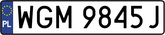 WGM9845J