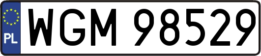 WGM98529