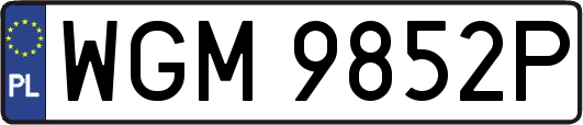 WGM9852P