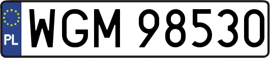WGM98530