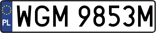 WGM9853M