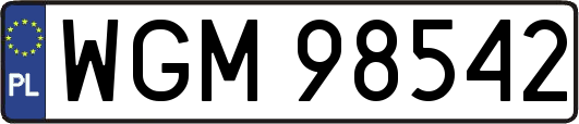 WGM98542