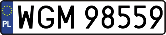 WGM98559