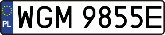 WGM9855E