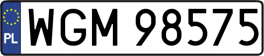 WGM98575