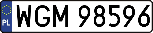 WGM98596