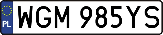 WGM985YS