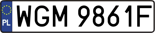 WGM9861F