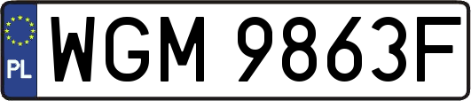 WGM9863F