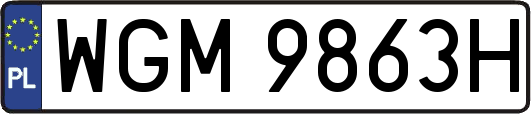 WGM9863H